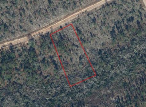 Nezperce Drive Alford FL 32420