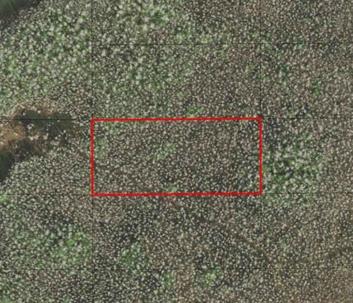 Holopaw Groves Road St. Cloud FL 34772