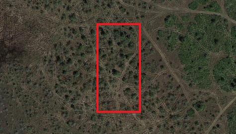 NW 310th Street Okeechobee FL 34972