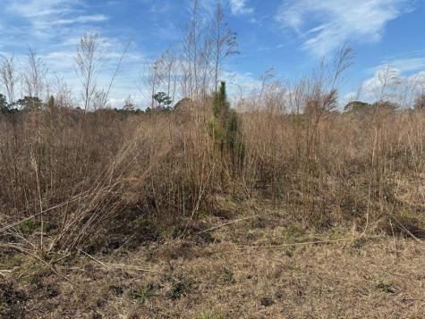 Old Grade Road Other City - In The State Of Florida FL 33868