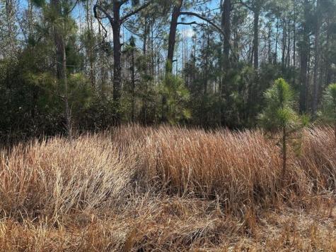 Old Grade Road Other City - In The State Of Florida FL 33868