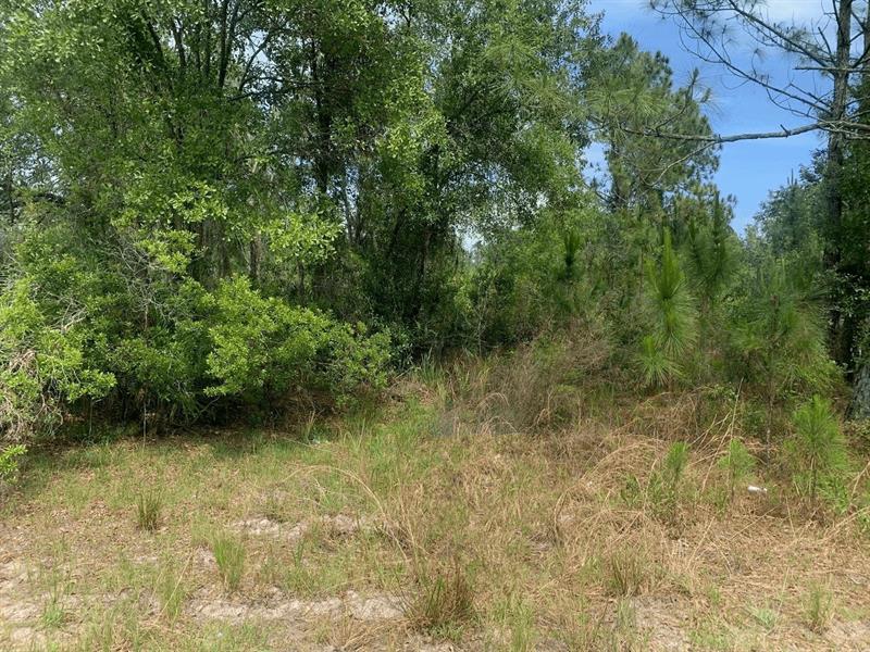 County Road 54 E Kathleen FL 33849