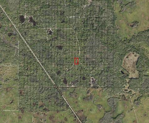 County Road 54 E Kathleen FL 33849