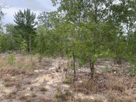 Gray Street Interlachen FL 32148