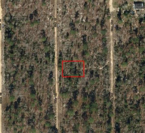 Gray Street Interlachen FL 32148