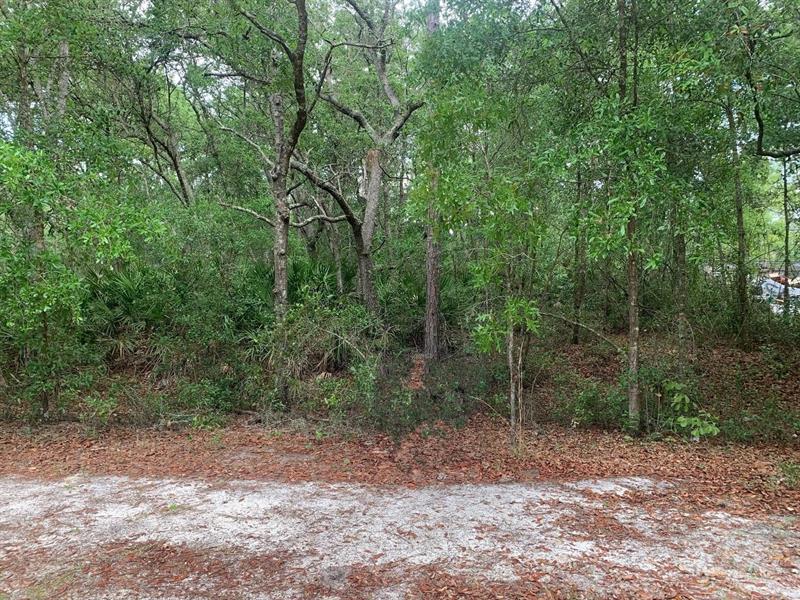 209 Highline Trail Satsuma FL 32189