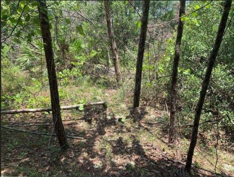 213 Kansas Street Satsuma FL 32189