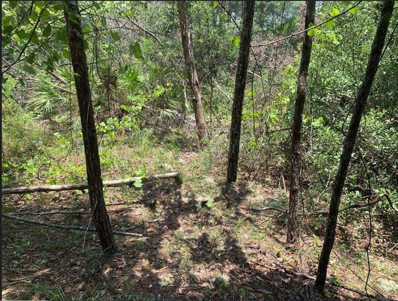 213 Kansas Street Satsuma FL 32189