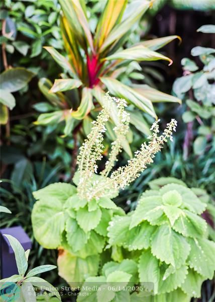 3301 SE 12th Street Pompano Beach FL 33062