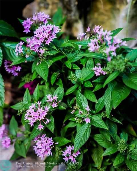 3301 SE 12th Street Pompano Beach FL 33062