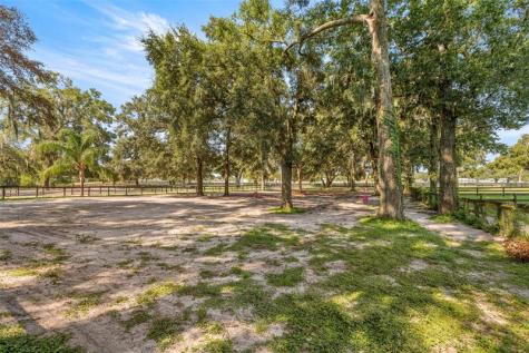 13646 N Us Highway 27 Ocala FL 34482