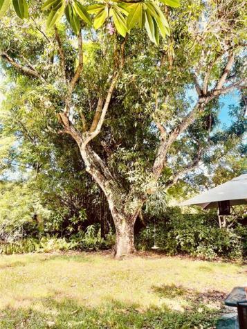 4827 NW 2nd Court Plantation FL 33317