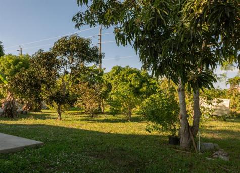 5339 Dixie Drive Naples FL 34113