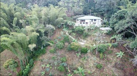Colombia El Jazmin Other County - Not In USA FL