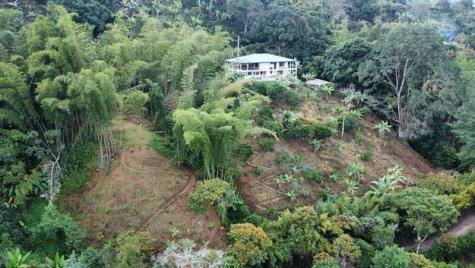 Colombia El Jazmin Other County - Not In USA FL
