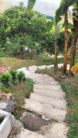 Colombia El Jazmin Other County - Not In USA FL