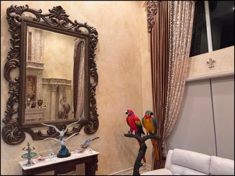 1813 NW 126th Way Coral Springs FL 33071