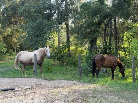 3050 E Possum Court Inverness FL 34452