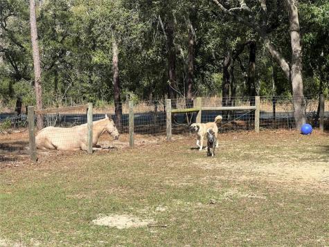3050 E Possum Court Inverness FL 34452
