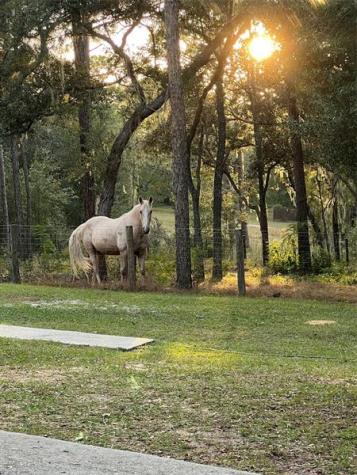 3050 E Possum Court Inverness FL 34452