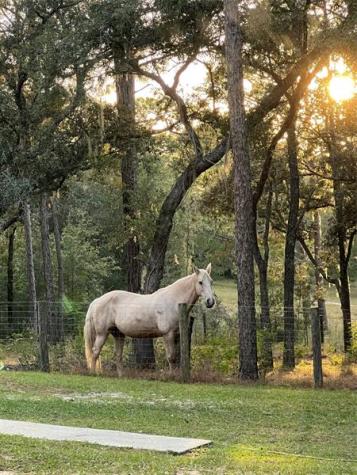 3050 E Possum Court Inverness FL 34452