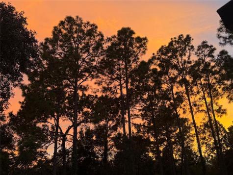 3050 E Possum Court Inverness FL 34452