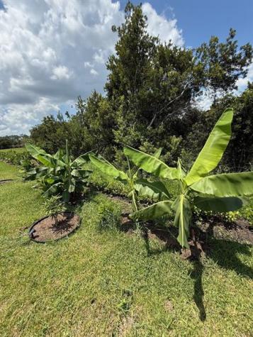 187 SE Via Sangro Port St Lucie FL 34952