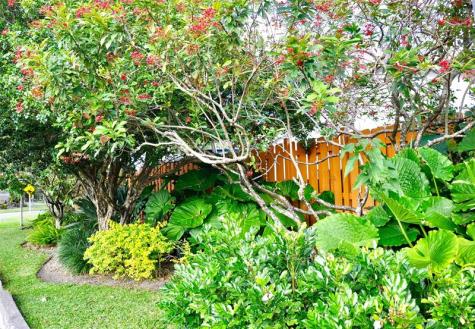 3171 NW 69 Court Fort Lauderdale FL 33309