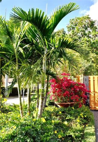 3171 NW 69 Court Fort Lauderdale FL 33309