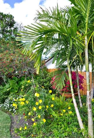 3171 NW 69 Court Fort Lauderdale FL 33309