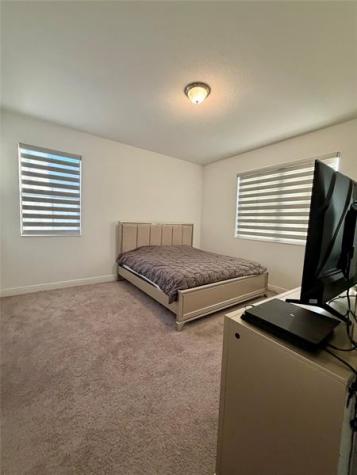 4920 Frattina Street Ave Maria FL 34142