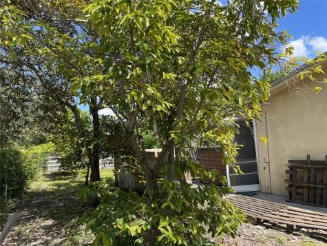 671 NW 38th Street Deerfield Beach FL 33064