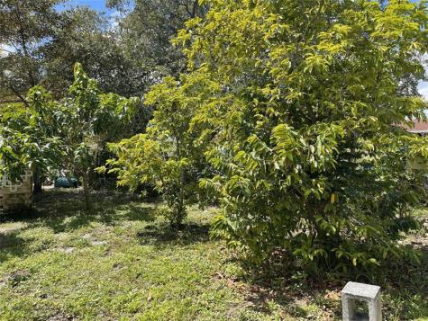 671 NW 38th Street Deerfield Beach FL 33064