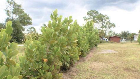 612 Hunting Club Avenue Clewiston FL 33440