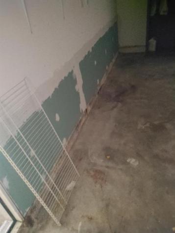 313 NE Glentry Avenue Port St Lucie FL 34983