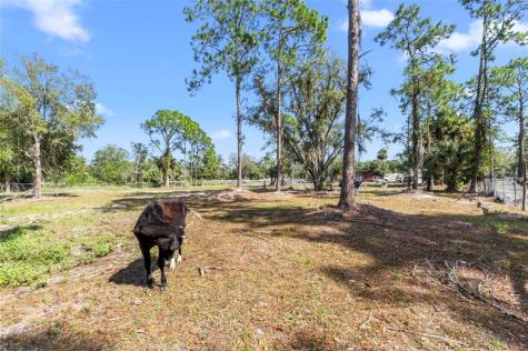 130 S Arboleda Street Clewiston FL 33440