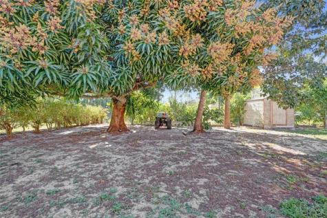 1244 SW Bellevue Avenue Port St Lucie FL 34953