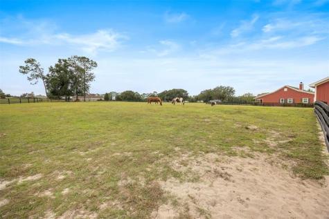 41526 Saddle Ridge Lane Other City - In The State Of Florida FL 32195