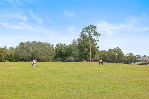 41526 Saddle Ridge Lane Other City - In The State Of Florida FL 32195