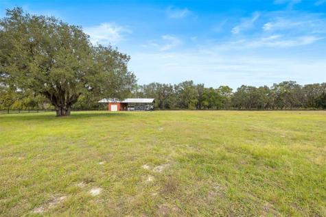 41526 Saddle Ridge Lane Other City - In The State Of Florida FL 32195