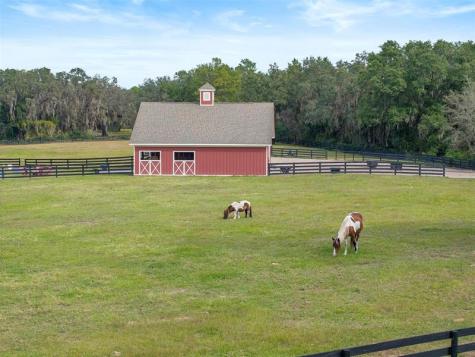 41526 Saddle Ridge Lane Other City - In The State Of Florida FL 32195