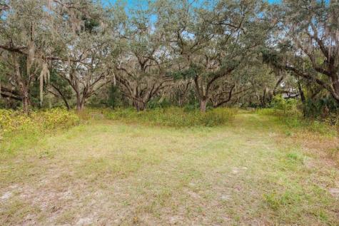 41526 Saddle Ridge Lane Other City - In The State Of Florida FL 32195