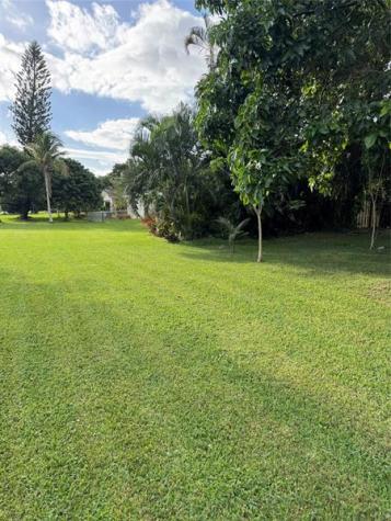 936 W Tropical Way Plantation FL 33317