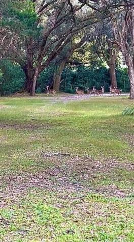 26250 Blackjack Street Brooksville FL 34601