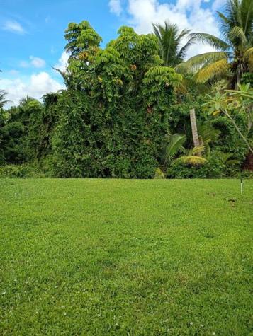 3353 Lake Overlook Place Lantana FL 33462