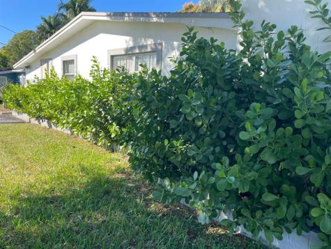 4421 NW 34th Court Lauderdale Lakes FL 33319
