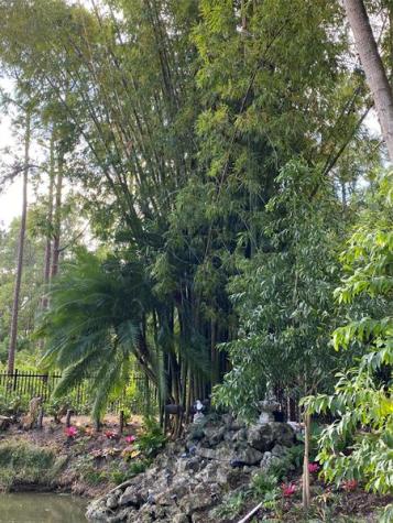 15810 N 83rd Lane N Loxahatchee FL 33470