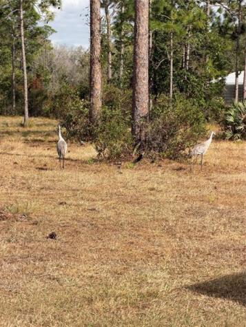 39702 NW 24th Drive Okeechobee FL 34972