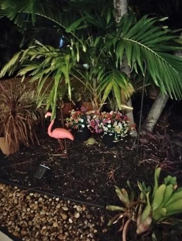 2611 NE 53rd Street Lighthouse Point FL 33064