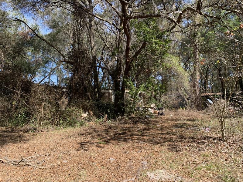2361 SE 178 Street Summerfield FL 34491